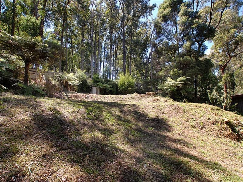 220 Emerald-Monbulk Road, Monbulk VIC 3793