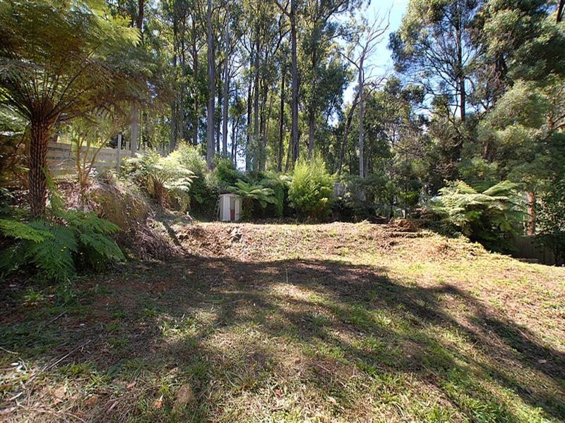 220 Emerald-Monbulk Road, Monbulk VIC 3793