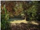 80 Loretto Avenue, Ferntree Gully VIC 3156