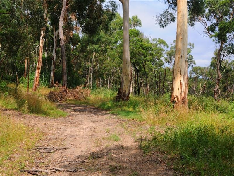 14 Oakdale Road, Upwey VIC 3158