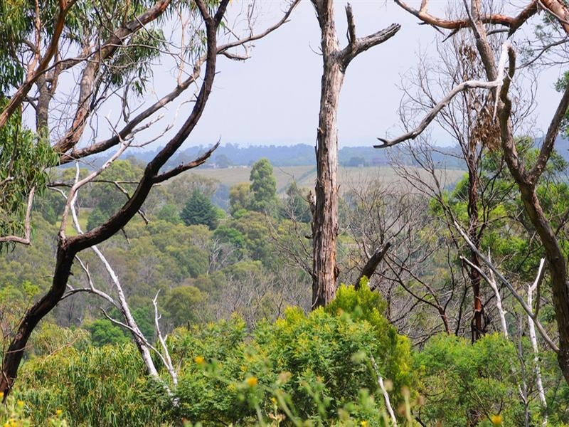 14 Oakdale Road, Upwey VIC 3158