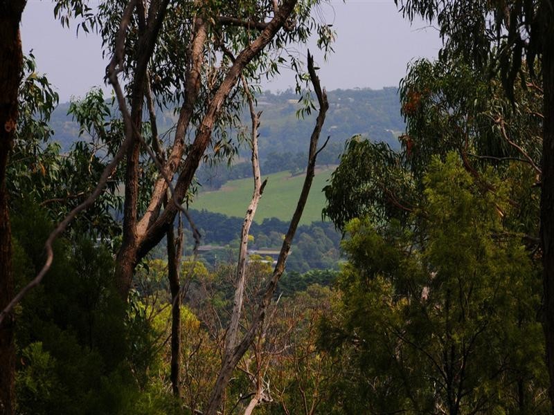 14 Oakdale Road, Upwey VIC 3158