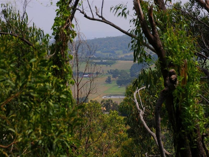 14 Oakdale Road, Upwey VIC 3158