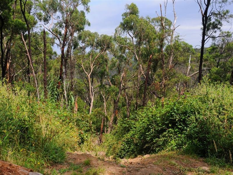 14 Oakdale Road, Upwey VIC 3158