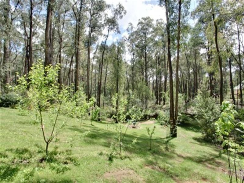 29 Stewart Road, Emerald VIC 3782