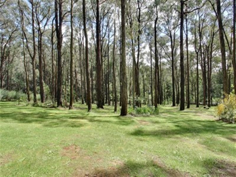 29 Stewart Road, Emerald VIC 3782