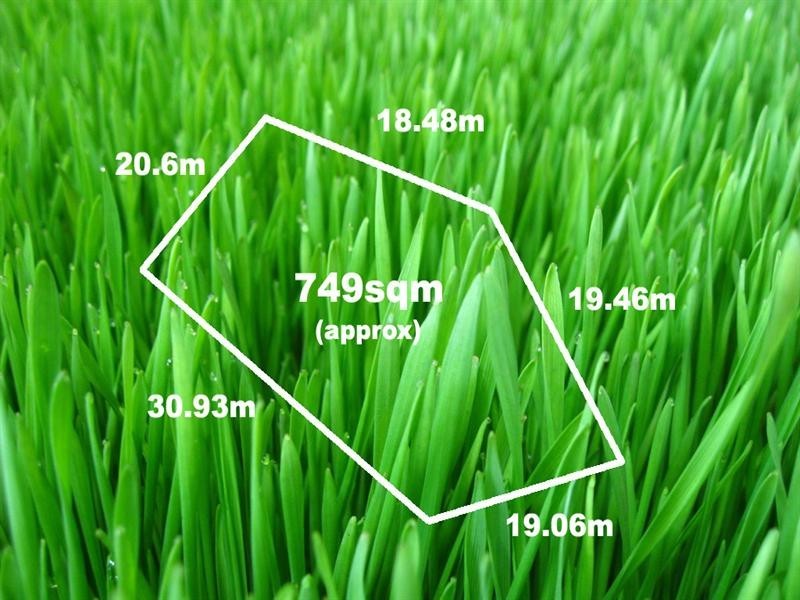 12 Maculosa Court, Endeavour Hills VIC 3802