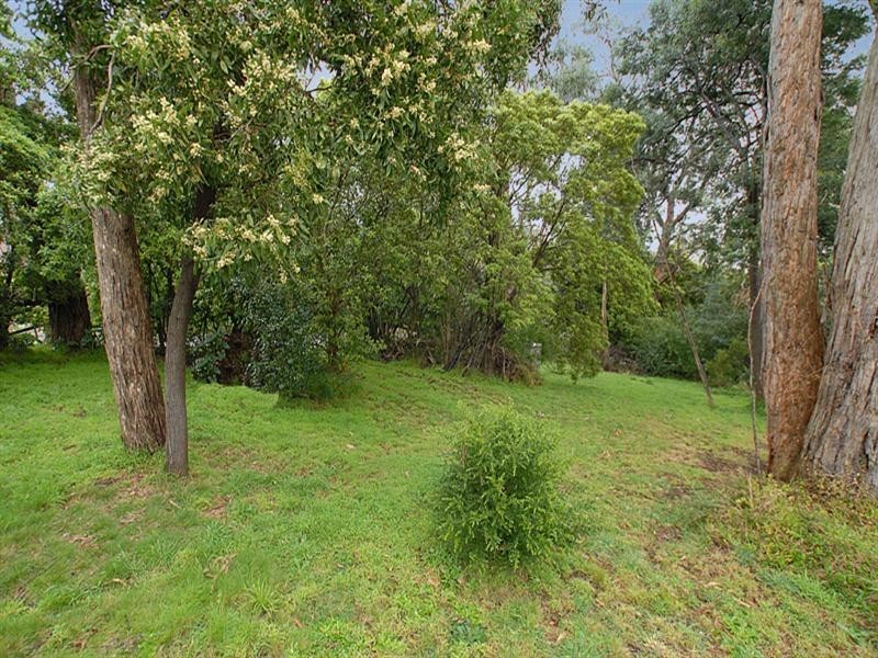 38 the Avenue, Ferntree Gully VIC 3156