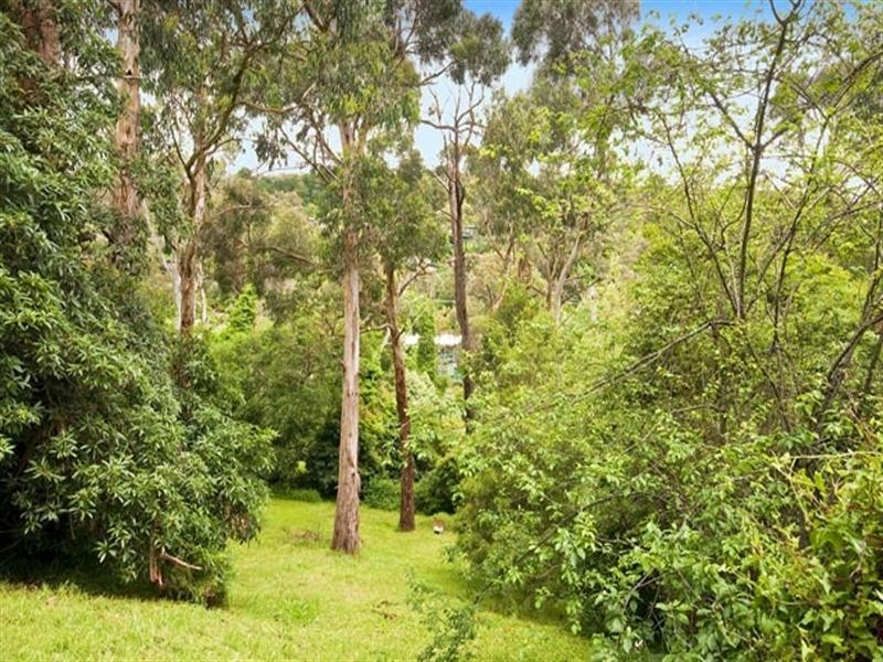 24 Royal Street, Upper Ferntree Gully VIC 3156