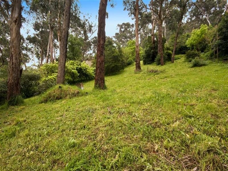 24 Royal Street, Upper Ferntree Gully VIC 3156