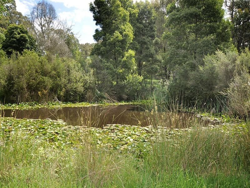 13 Aura Vale Road, Menzies Creek VIC 3159