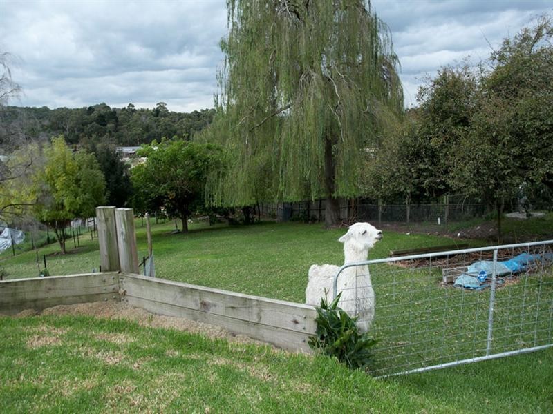 54 Churchill Park Drive, Lysterfield South VIC 3156