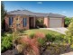 3 Jubilee Drive, Rowville VIC 3178