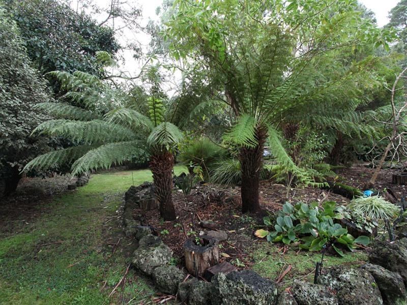 55 Kooringal Road, Upwey VIC 3158