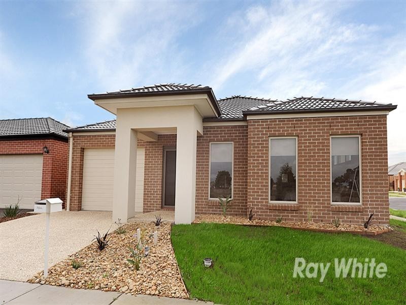 7 Rush Lily Drive, Officer VIC 3809