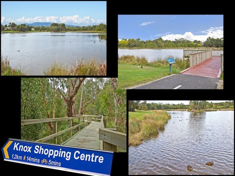 12 Woodview Place, Knoxfield VIC 3180