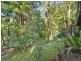 50 Campbell Drive, Wahroonga NSW 2076