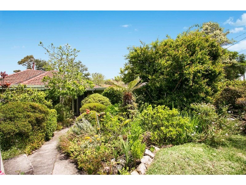 14 Collings Street, Wahroonga NSW 2076