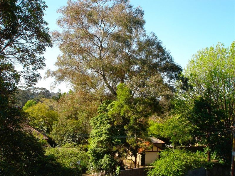 11/6 King Street, Turramurra NSW 2074