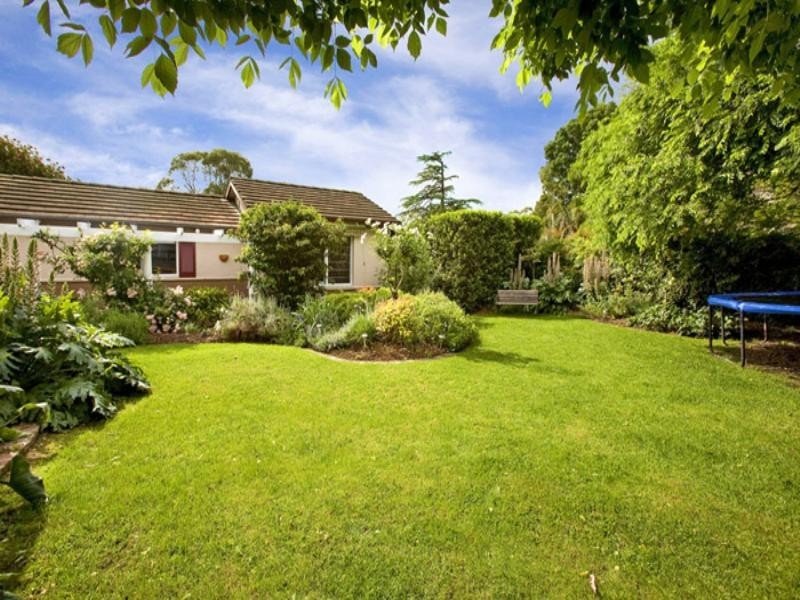 20 Challis Avenue, Turramurra NSW 2074