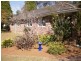 27 Greenhill Crescent, St Ives NSW 2075