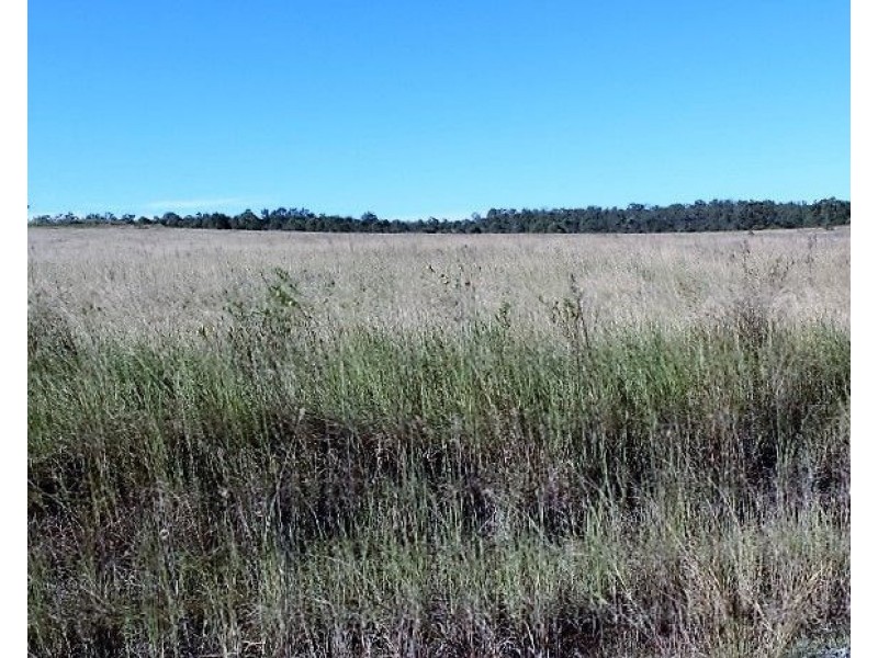 24 Damascus Road, Damascus QLD 4671