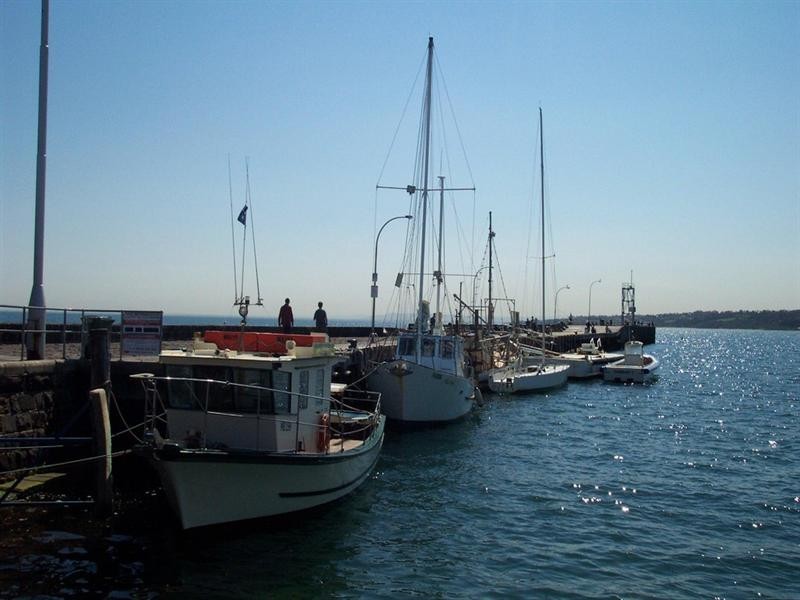 3 Wilgul Way, Mornington VIC 3931