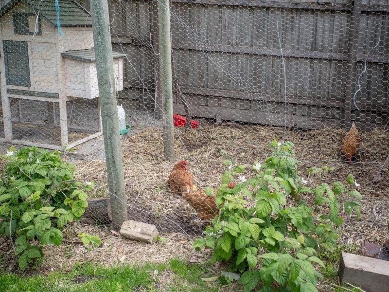 7 Meadow Lane, Mount Eliza VIC 3930