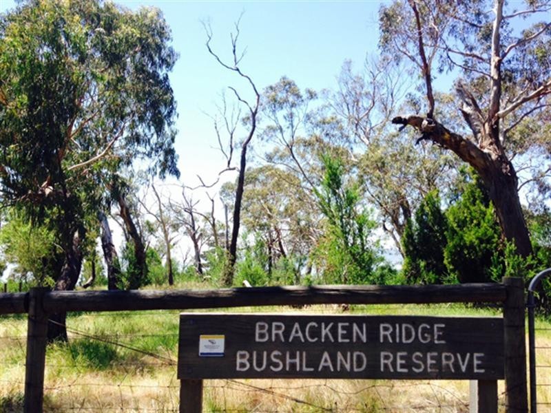 10 Garner Street, Dromana VIC 3936