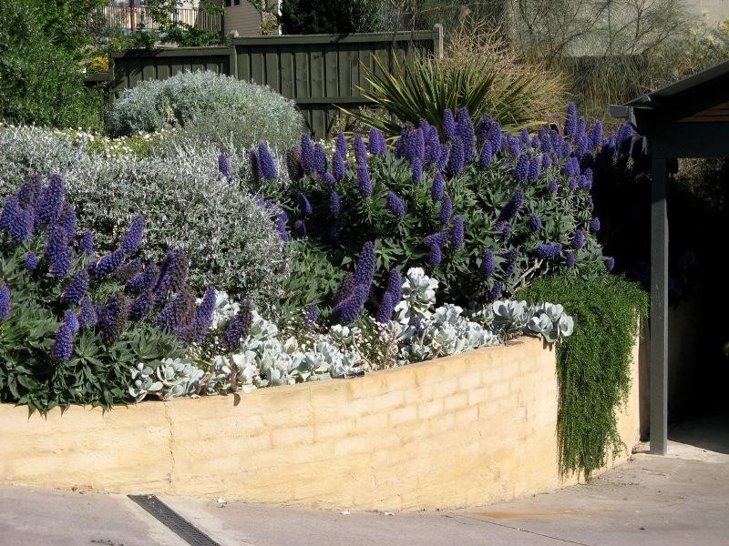 13 Shelbourne Court, Mornington VIC 3931