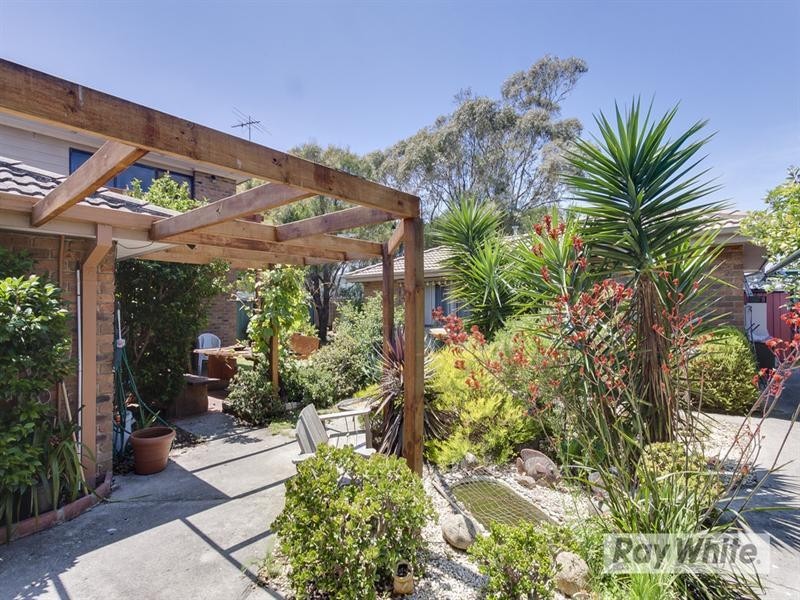 14 Padua Drive, Mornington VIC 3931