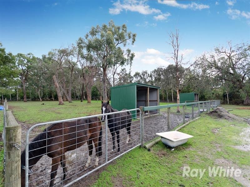 31 Boes Road, Tyabb VIC 3913