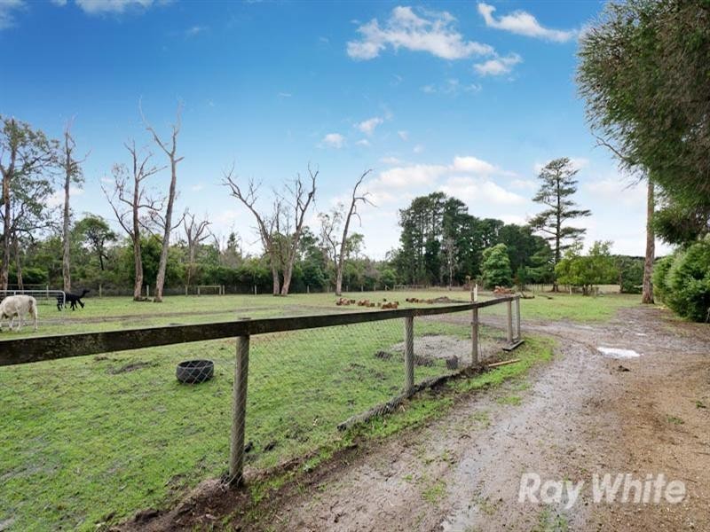 31 Boes Road, Tyabb VIC 3913