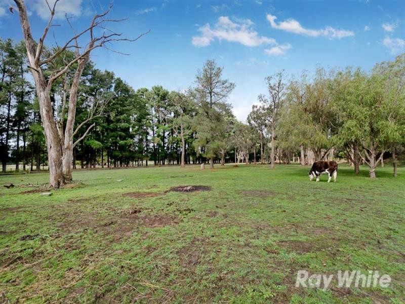 31 Boes Road, Tyabb VIC 3913