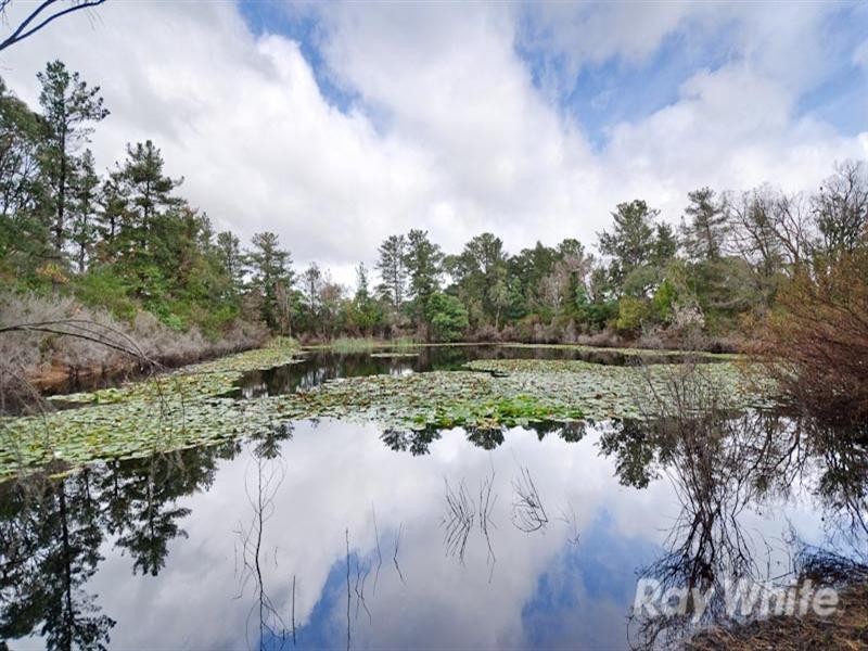 31 Boes Road, Tyabb VIC 3913