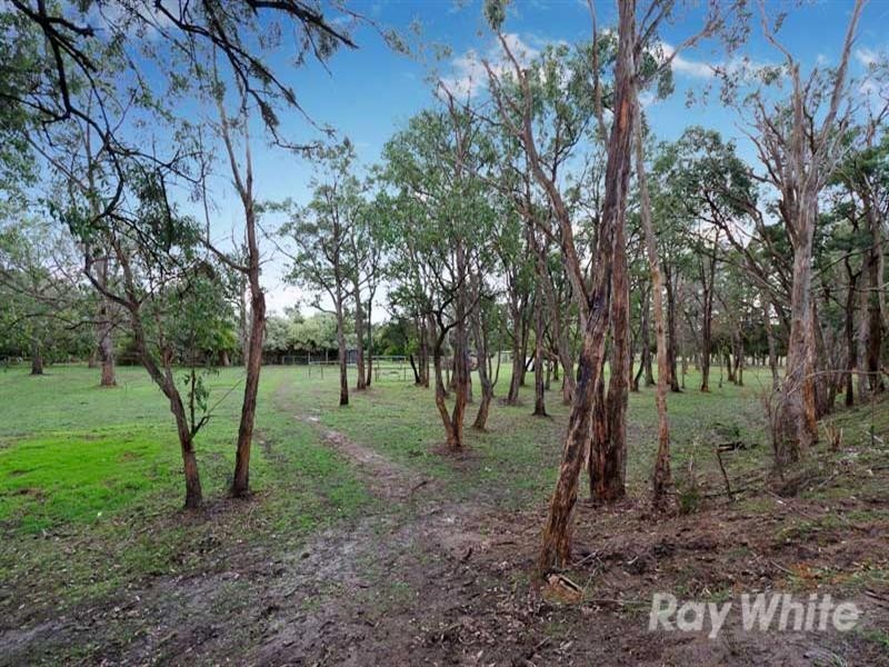 31 Boes Road, Tyabb VIC 3913