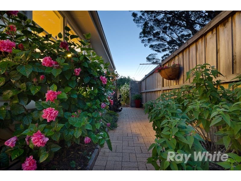 1 Campbell Grove, Mornington VIC 3931