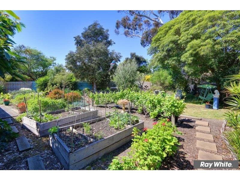 50 Dava Drive, Mornington VIC 3931