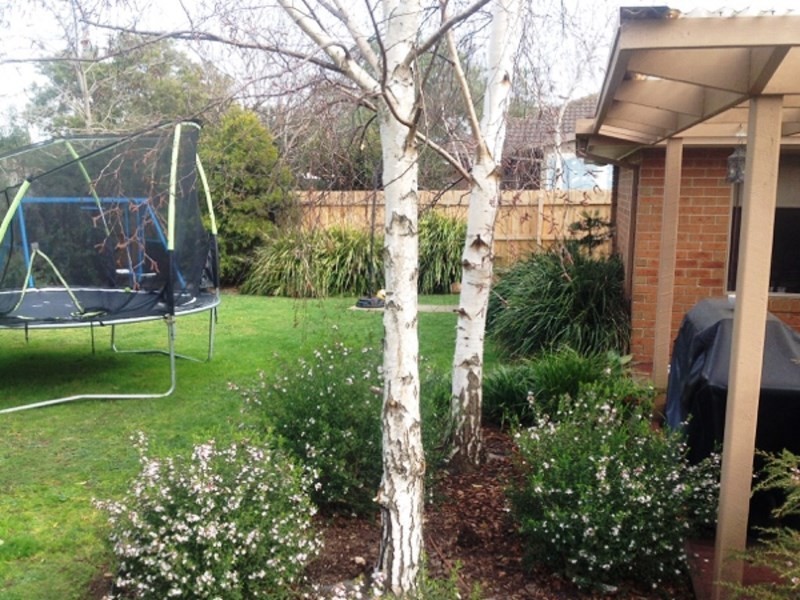 6 Flora Road, Mount Martha VIC 3934