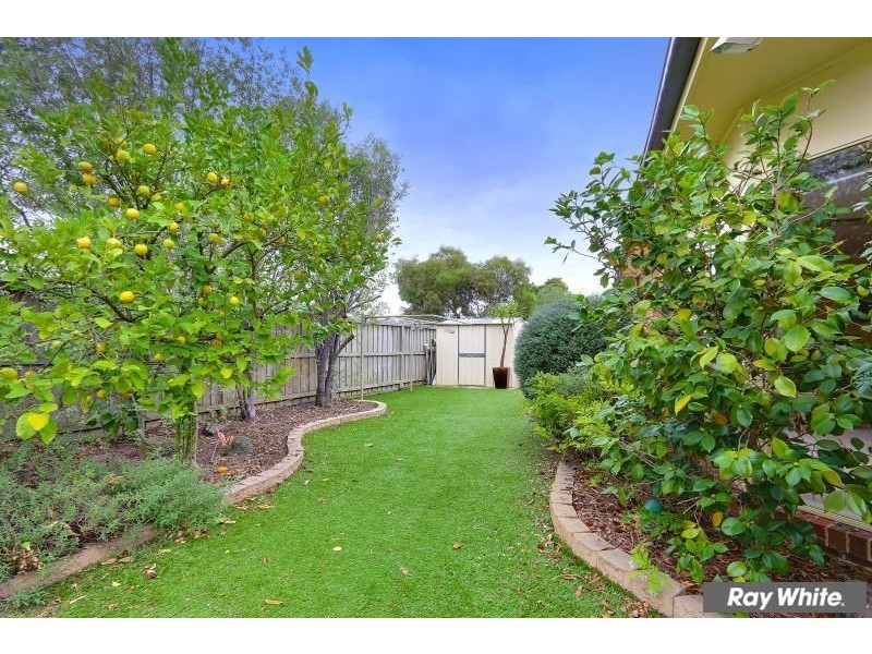 9 Rancher Place, Mornington VIC 3931