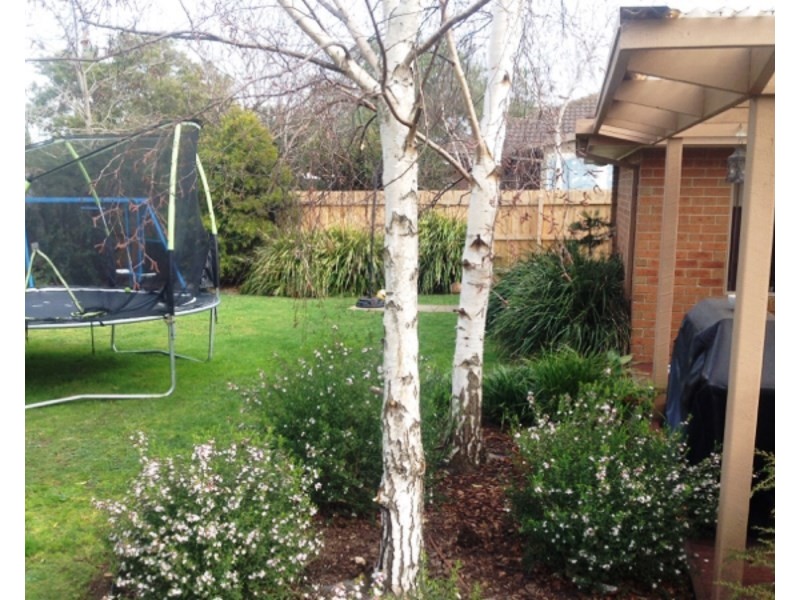 6 Flora Road, Mount Martha VIC 3934