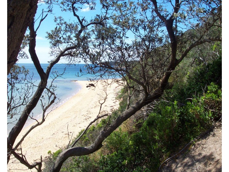 7/167 Bentons Road, Mornington VIC 3931