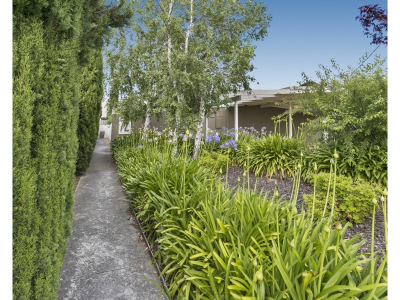 1/12 Campbell Grove, Mornington VIC 3931