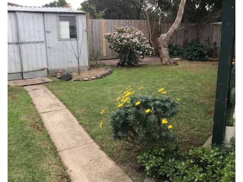 6 Grevillea Court, Mornington VIC 3931