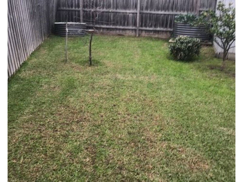 6 Grevillea Court, Mornington VIC 3931