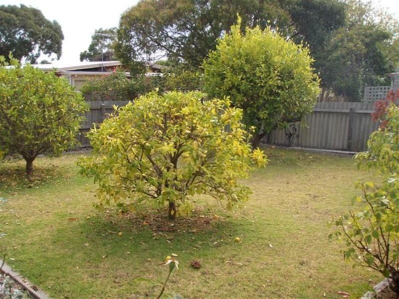 14 Iris Street, Dromana VIC 3936