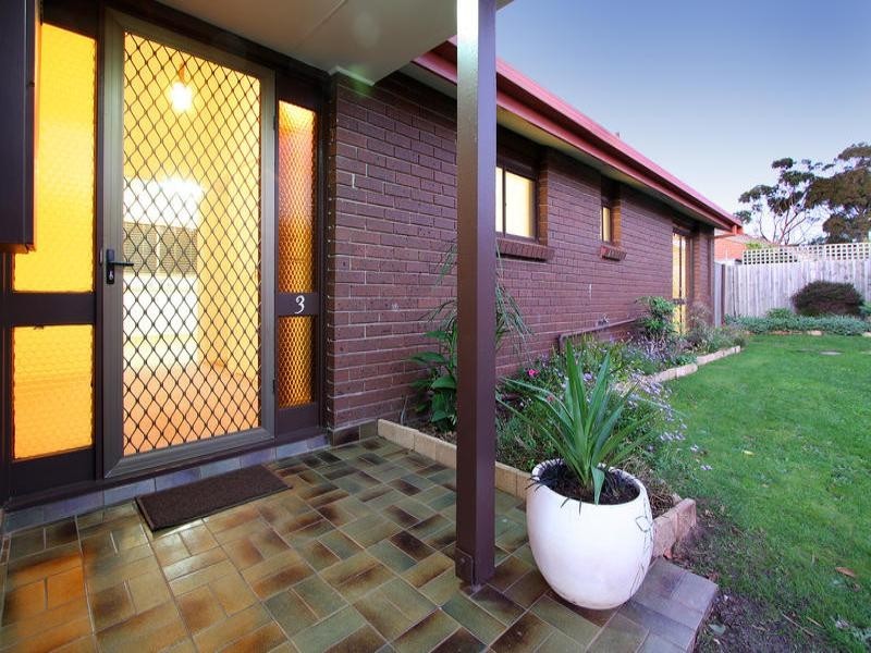 3/17 Van Ness Avenue, Mornington VIC 3931