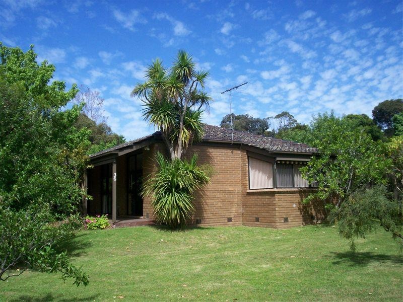 36 Tallis Drive, Mornington VIC 3931