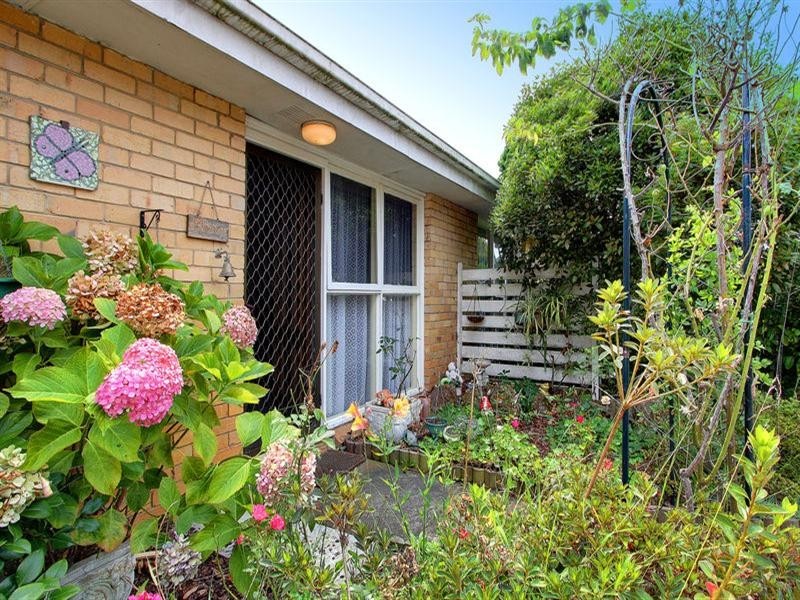 3/4 Campbell Grove, Mornington VIC 3931