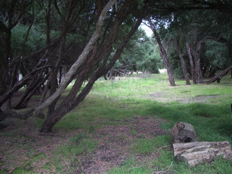 23 Fairbairn Avenue, Mount Martha VIC 3934